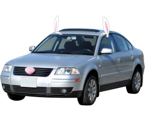 Easter car decoration