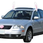 Easter Car Decorations